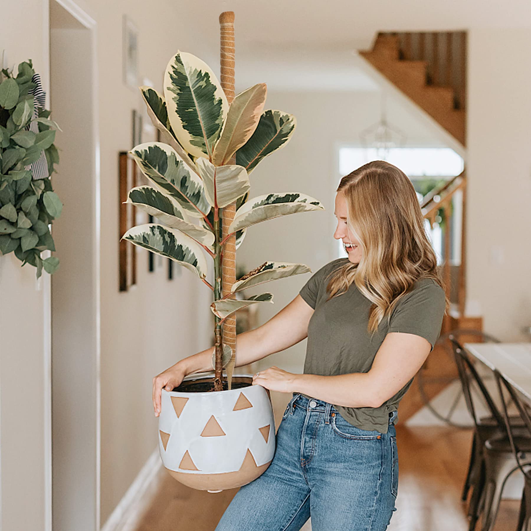 Amazon | 園芸支柱 64CM モンステラ ココナッツ支柱 観葉植物 つる植物